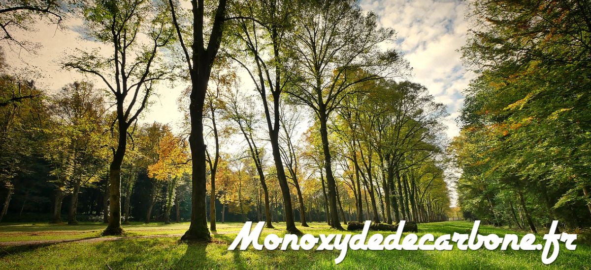 monoxydedecarbone.fr
